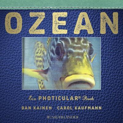 Ozean, Gebundene Ausgabe von Dan Kainen,Carol Kaufmann, Fischer Sauerländer