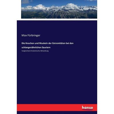 Die Knochen und Muskeln der Extremitäten bei den schlangenähnlichen Sauriern, Taschenbuch von Max Fürbringer, Hansebooks, 978-3-7433-6246-8