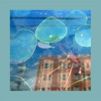 Acknowledge Kindness - The Pinks and Purples Reds, CD