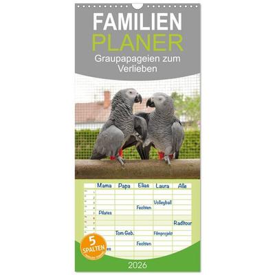Familienplaner 2026 - Graupapageien zum Verlieben mit 5 Spalten (Wandkalender, 21 x 45 cm) CALVENDO