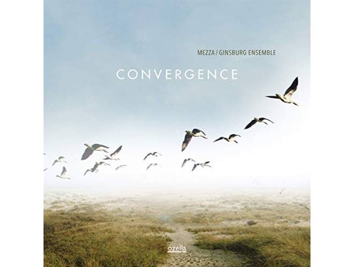 Mezza-Ginsburg Ensemble - Convergence