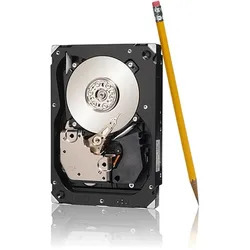 Seagate Cheetah (0.60 TB, 3.5"), Festplatte