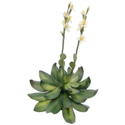 EUROPALMS Steinrose (EVA), Kunstpflanze, gelb, 32cm