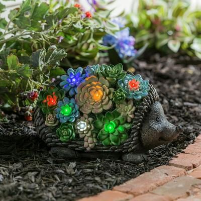 Evergreen Solar Resin Succulent Hedgehog