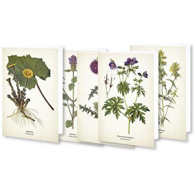 Kunstklappkarten 'Flora'; Sonstige von , Quelle & Meyer