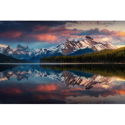 Fototapete PAPERMOON "Photo-Art JUAN PABLO DE, MALIGNE FARBE", bunt, B:4,5m L:2,8m, Vlies, Tapeten