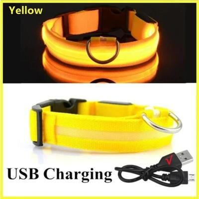Uplift Essentials LED Glowing Dog Collar Adjustable Night Safety Luminous Collar yellow m