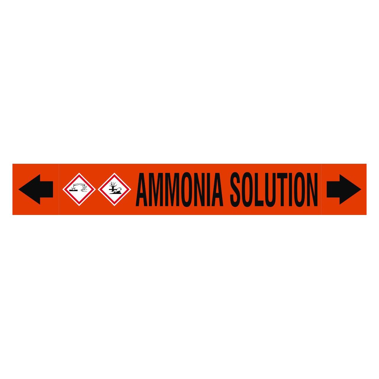 Brady ASME - Rohrmarkierer - Ammonia Solution (313289)