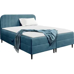 BOXBETT Box Best 1 - H3