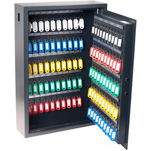 Pavo Schlüsselkasten High Security Key Advanced, 8025152, Fingerprintschloss, 41x60x12 cm,100 Haken