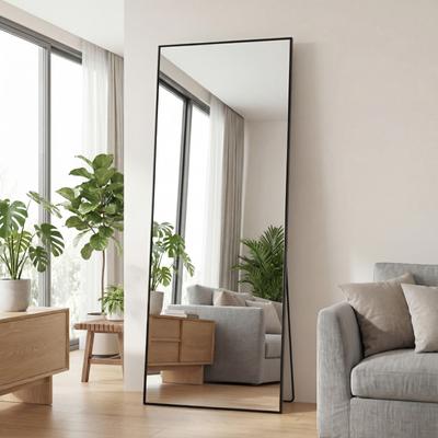 Fusion Finds LED Full Length Mirror With Lights Dimmable Floor & Wall Mirror With Aluminum Frame black rectangle