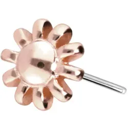 14 Karat Gold Aufsatz mit Titan Push Pin BLUME