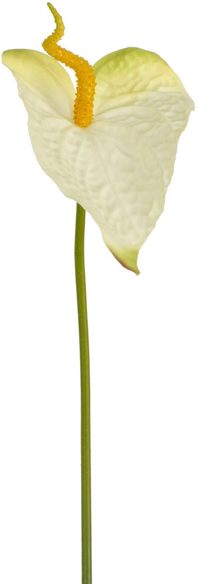 SnelShoppen Kunstbloemen Anthuriums Wit, 12 stuks, 74 cm