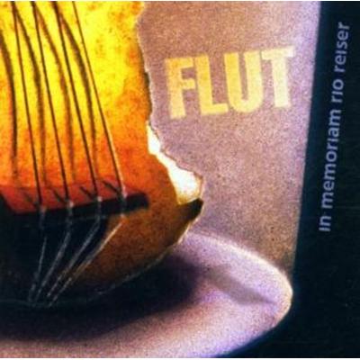 In Memoriam Rio Reiser - Flut, CD