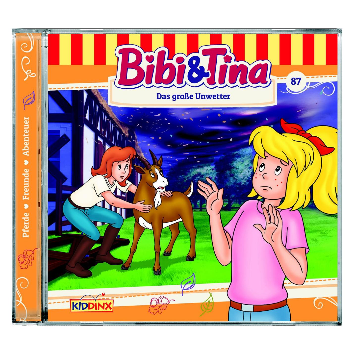 Kiddinx Folge 87: Das Grosse Unwetter (Deutsch) (426187)