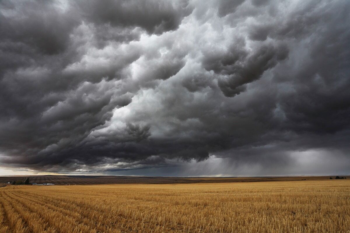 Fototapete PAPERMOON "Feld mit Gewitter", bunt, B:4,5m L:2,8m, Vlies, Tapeten, Fototapete bunt B/L: 4,5m x 2,8m, Bahnen: 9 Stk.
