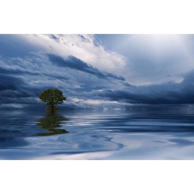 Fototapete PAPERMOON "MEER WOLKEN-BAUM BEACH STRAND PANORAMA HIMMEL WELLEN", bunt, B:4m L:2,6m, Vlies, Tapeten