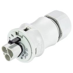 Wieland Electric 96.032.0053.0 Steckverbinder