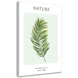 WANDBILD grünes blatt natur