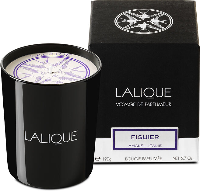 Lalique Figuier Amalfikerze 190 gr