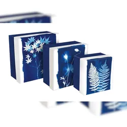 Clairefontaine 2x Cyanotypie, Set bestehend aus 3 quadratischen Klappboxen 25x25x12 cm, 20x20x11cm, und 16x16x10 cm - 83514C
