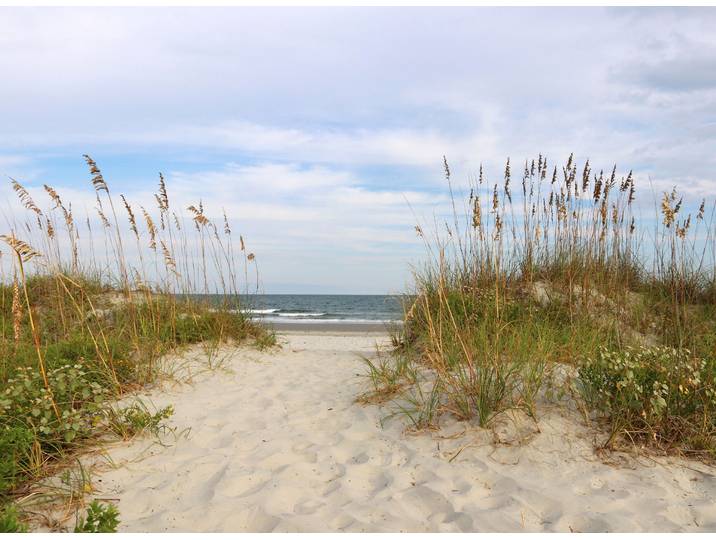 Fototapete PAPERMOON Dunes Huntington Beach , bunt, B:3m L:2,23m, Vlies, Tapeten, Fototapete