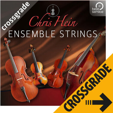 Best Service Chris Hein Ensemble Strings CG