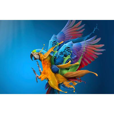 Fototapete PAPERMOON "Photo-Art SULAIMAN ALMAWASH, BRAVOUR", bunt, B:5m L:2,8m, Vlies, Tapeten