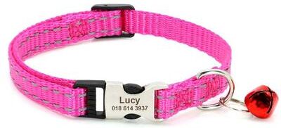 Uplifted Finds Signature Series Personalized Identity Collar 029 Rose (19 30cm)