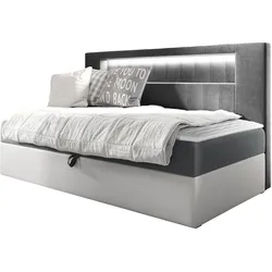 BOXBETT Gold Junior 2 - H3
