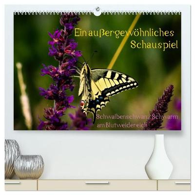 Ein außergewöhnliches Schauspiel (hochwertiger Premium Wandkalender 2027 DIN A2 quer), Kunstdruck in Hochglanz