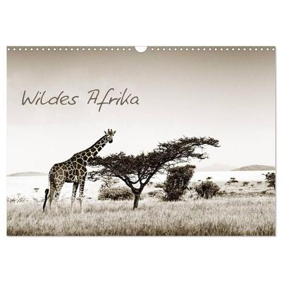 Wildes Afrika (Wandkalender 2027 DIN A3 quer), CALVENDO Monatskalender