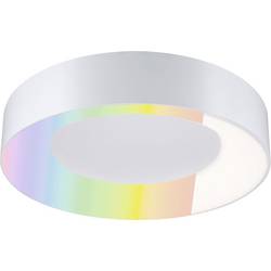 Paulmann 75414 Deckenleuchte LED 20 W Weiß (matt)