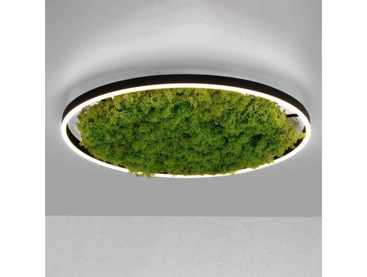 JUST LIGHT. GmbH LED Deckenleuchte Gerda Ritus, dimmbar, grün, für Wohn- / Esszimmer, Modern