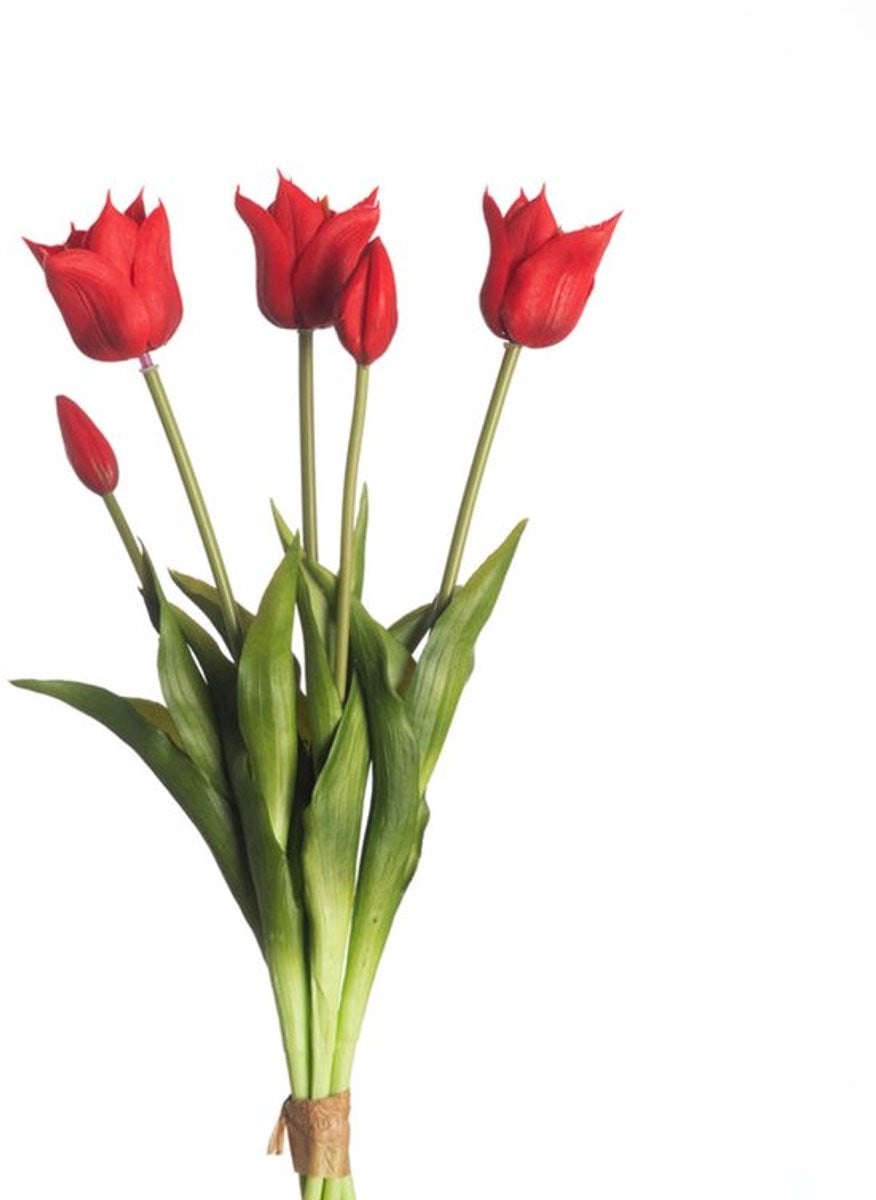 Real Touch Tulpen Boeket met 5 Rode Kunsttulpen