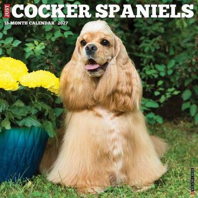 Cocker Spaniels 2027 12 X 12 Wall Calendar