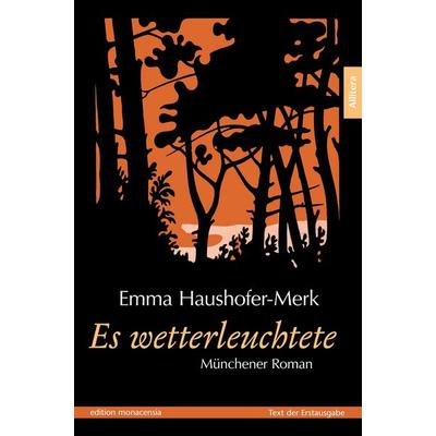 Es wetterleuchtete, Taschenbuch von Emma Haushofer-Merk, Buch & media, 978-3-86906-761-2