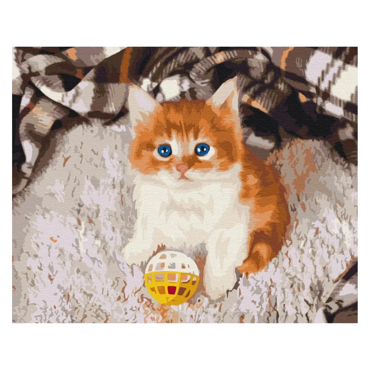 Syma Picture Paint it - Amused kitten (BS52620)