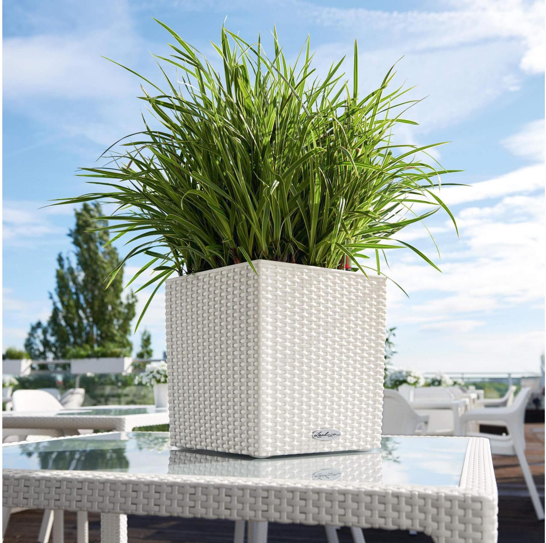 Blumentopf "Lechuza Cube Cottage 30 Weiss", weiss (weiß), B:30cm H:30cm T:30cm, Kunststoff, Pflanzgefässe, Blumentopf weiß B/H/T: 30cm x 30cm x 30cm