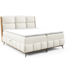BOXBETT Charlie Premium