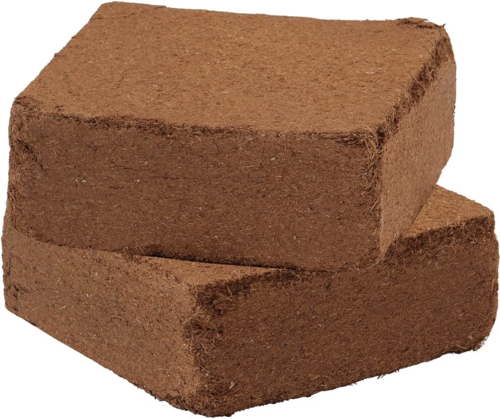 vidaXL Blocs de noix de coco 5 pcs 5 kg chacun 25 kg au total