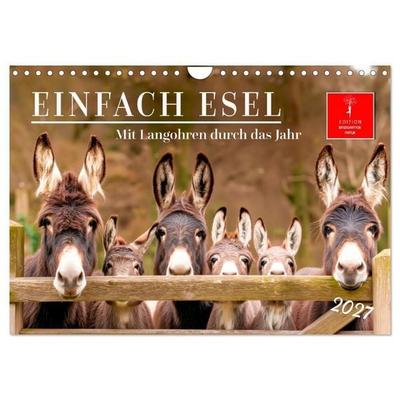 Einfach Esel - Mit Langohren durch das Jahr (Wandkalender 2027 DIN A4 quer), CALVENDO Monatskalender