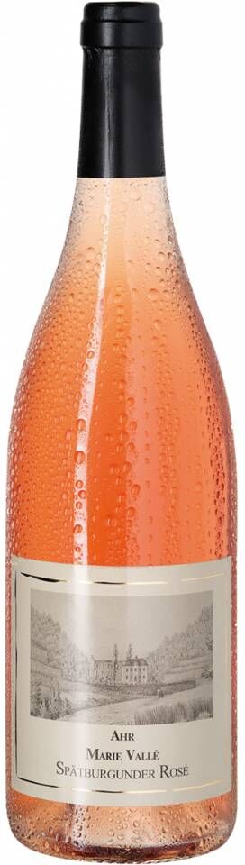 Spätburgunder Rosé - Marie Vallé Ahr QbA trocken 2024 Kloster Marienthal