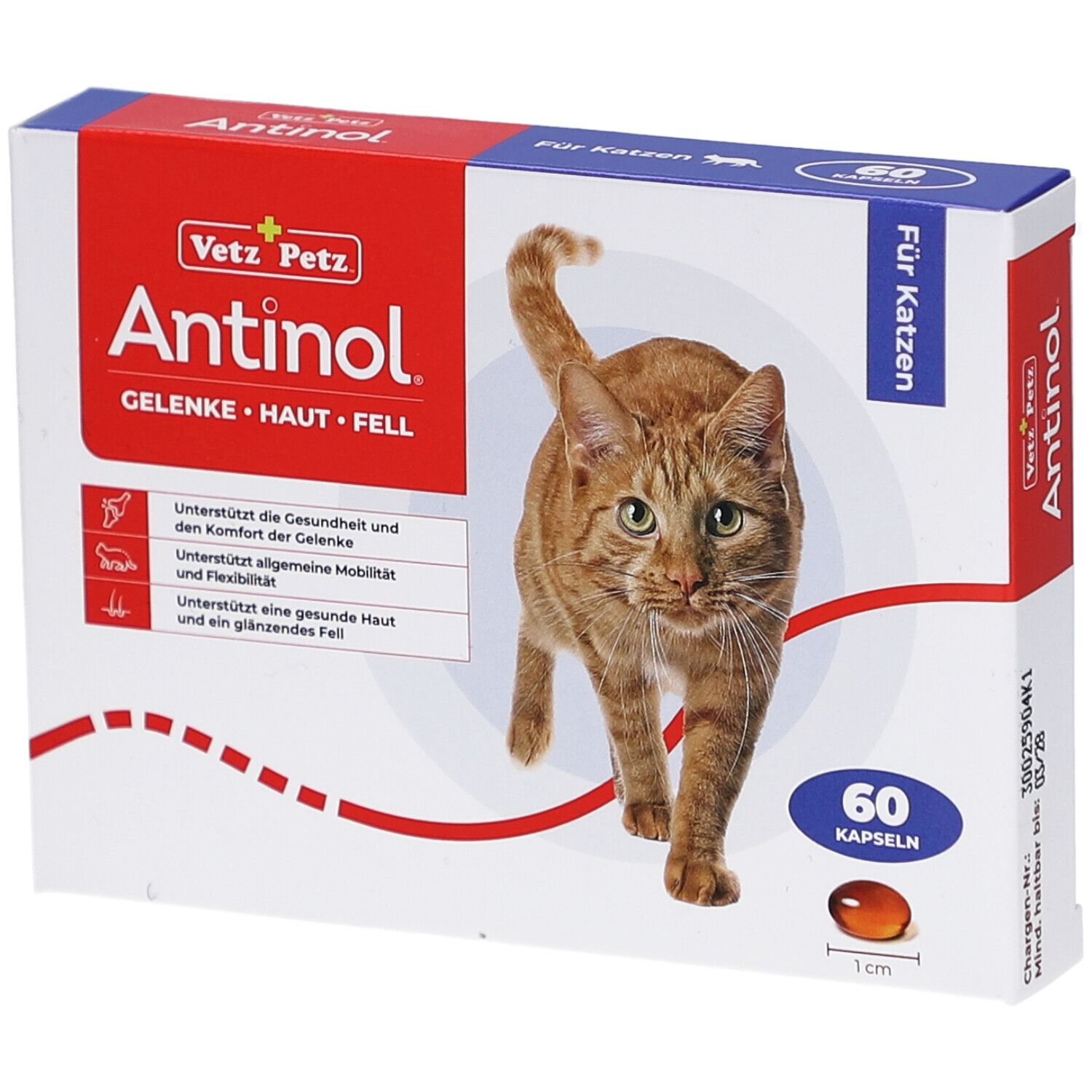 Antinol Katze, Packung mit 60 Tabletten St Kapseln