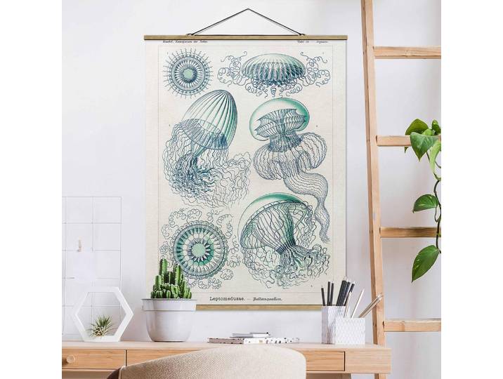 Stoffbild Vintage Lehrtafel Quallen II Webstoff Blau 80 x 107cm