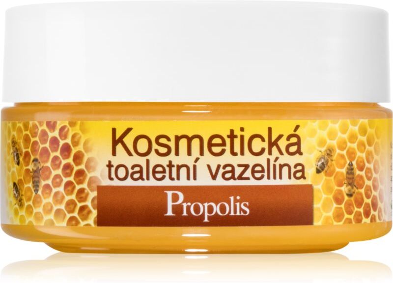 Bione Cosmetics Honey + Q10 vaseline cosmétique 155 ml