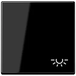 Jung Wippe Symbol Licht A 590 BF L SW A590BFLSW