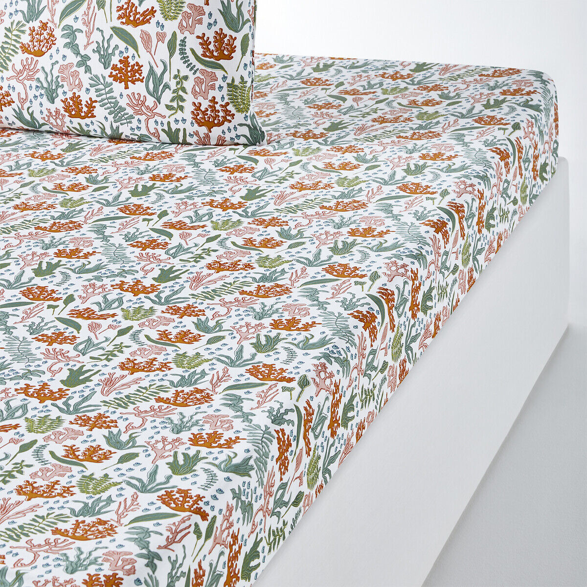 LA REDOUTE INTERIEURS Drap housse coton, Lara