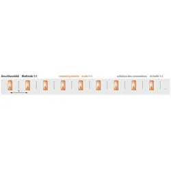Pollmann 2227120 Phasenschiene S-1L-210/16 ML S-1L-210/16ML  - 50 Stück