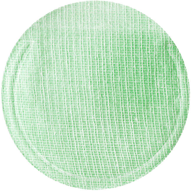 Neogen Gommage à la gaze Pha humide au thé vert 30 u